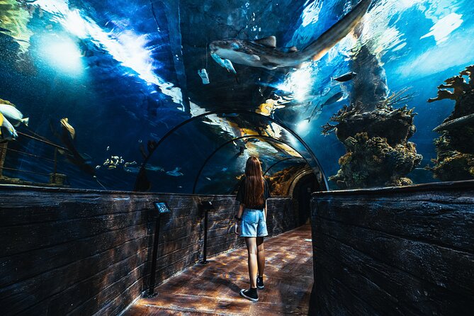 Malta National Aquarium Entrance Ticket - Malta National Aquarium entrance: what you’re walking into