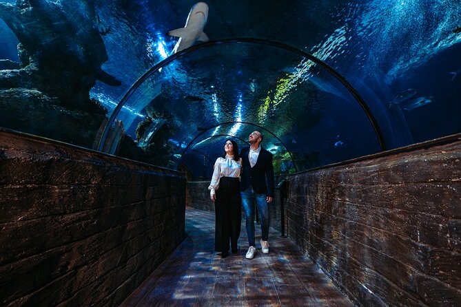 Malta National Aquarium Entrance Ticket - Stop inside the 52 tanks: Mediterranean meets global exhibits