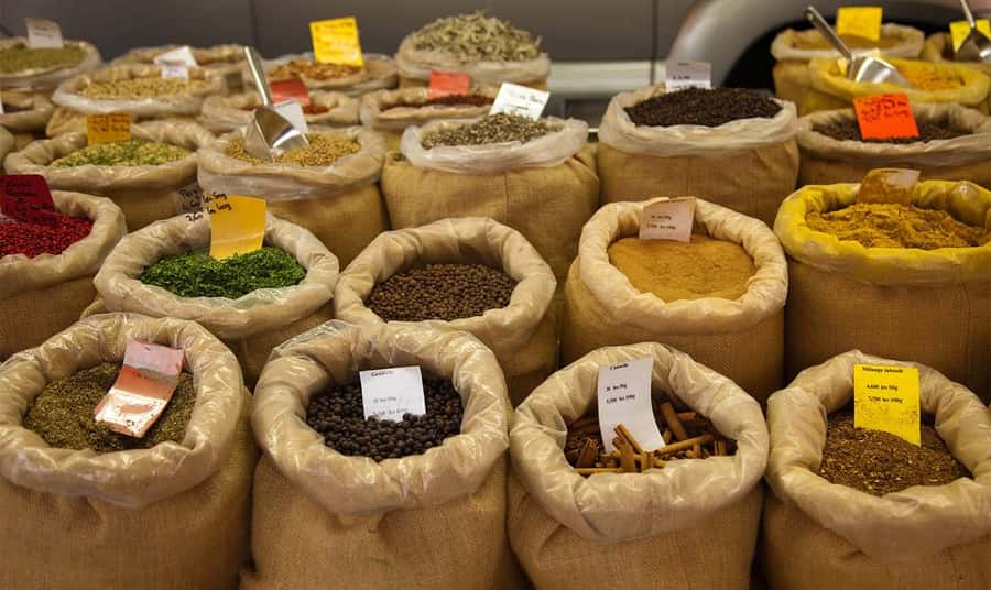 Mauritius: North Tour with Tea Tasting & Oceanarium Visit - Who This Tour Fits Best (And Who Might Want a Different Day)