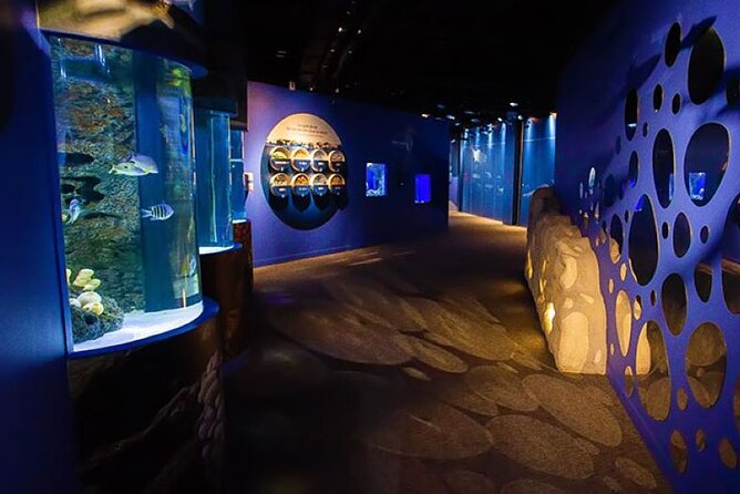 Mauritius Odysseo Oceanarium in Port Louis - The Oceanarium scale: 45 habitats and about 200 Indian Ocean species