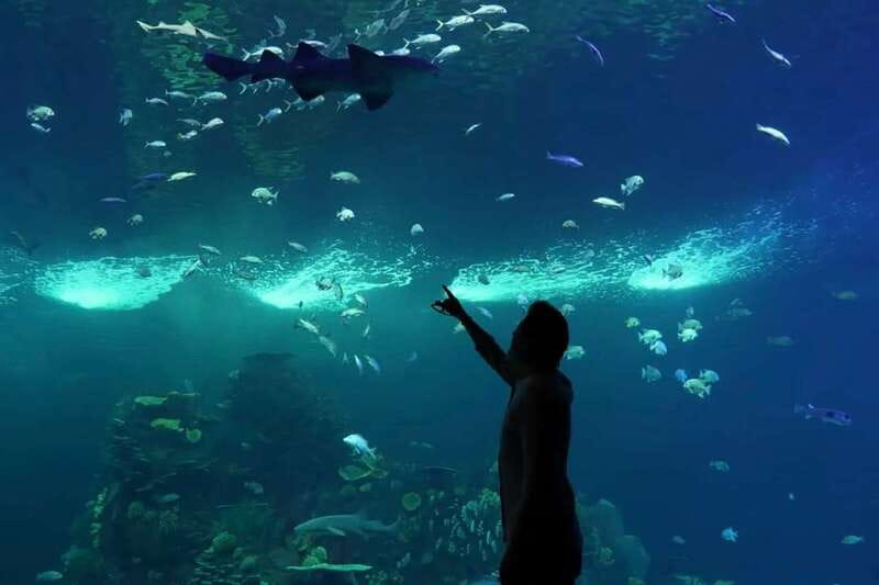 Mazatlan: Grand Aquarium Ticket and City Sightseeing Tour - Quick hits before you go