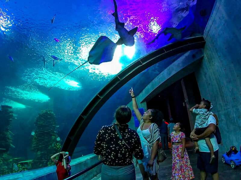 Mazatlan: Grand Aquarium Ticket and City Sightseeing Tour - Skip-the-line access at Grand Acuario Mazatlán