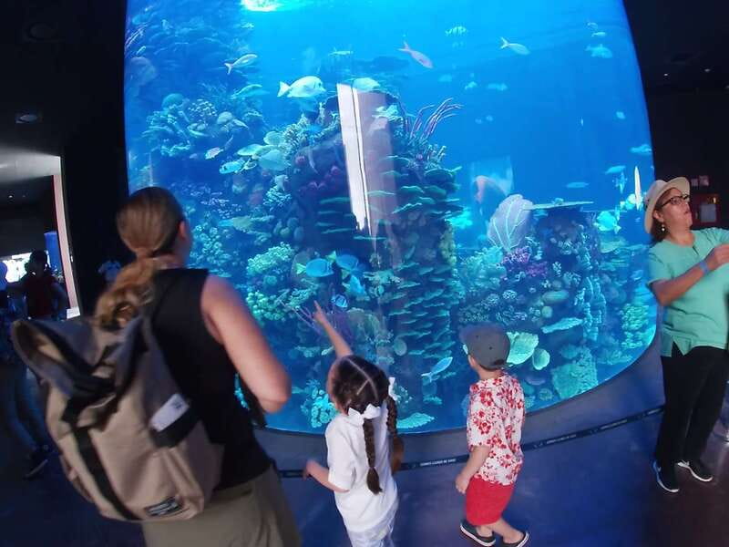 Mazatlan: Grand Aquarium Ticket and City Sightseeing Tour - Mazatlán from an open-air vehicle: the city part you shouldn’t skip