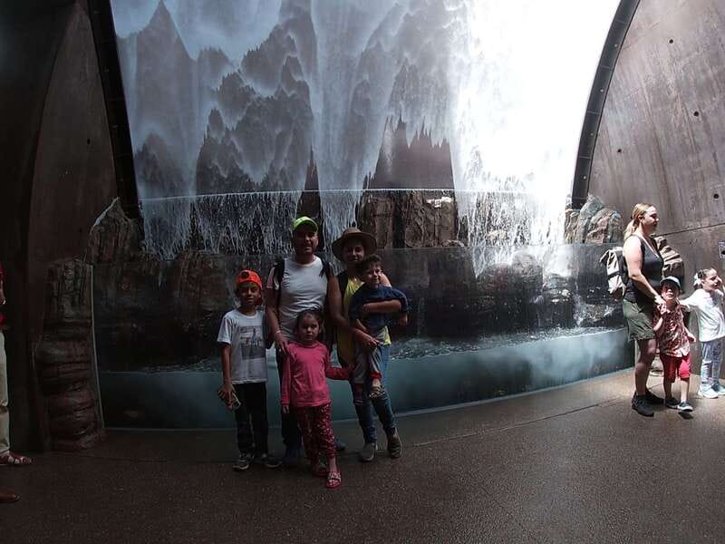 Mazatlan: Grand Aquarium Ticket and City Sightseeing Tour - Hotel pickup, timing, and group size: what to expect operationally