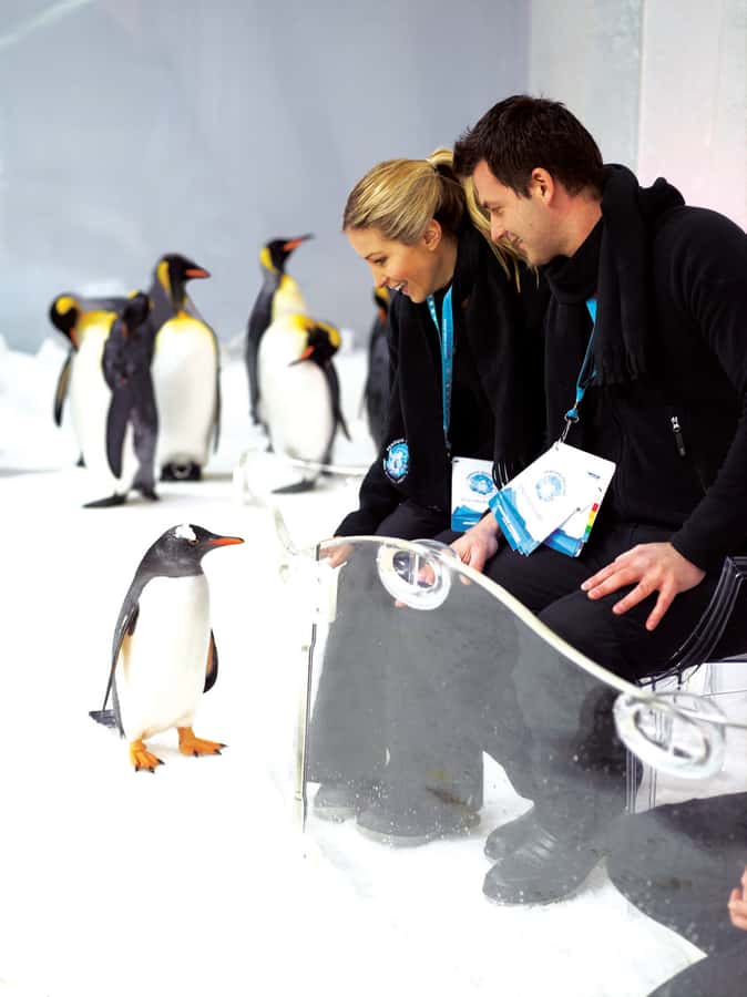 Melbourne: SEA LIFE Aquarium Entrance Ticket - A self-guided day across 12 zones (and why the route matters)