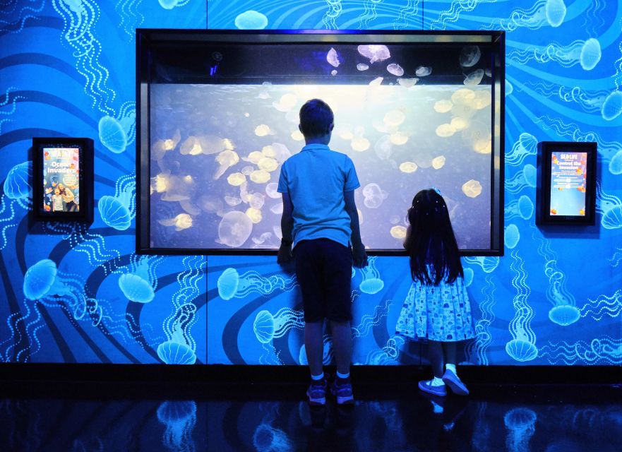 Melbourne: SEA LIFE Aquarium Entrance Ticket - Elephant sharks: a world-only exhibit that makes the day feel special