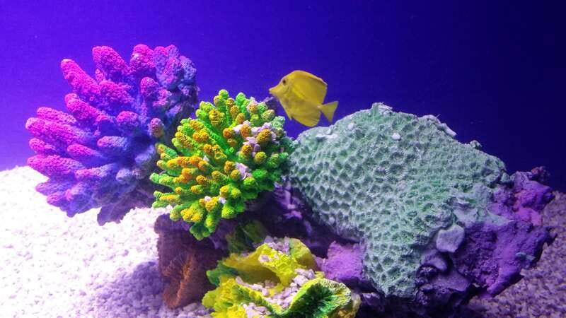 Mexico City: Inbursa Aquarium optional Round trip transfer - Key highlights to know before you go