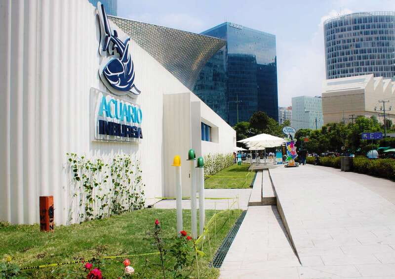 Mexico City: Inbursa Aquarium optional Round trip transfer - Upper-level highlights: jellyfish, sharks, turtles, penguins, and more