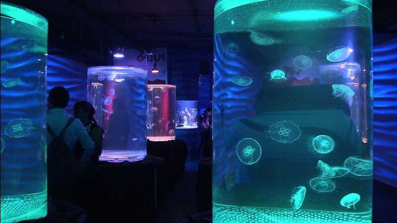 Mexico City: Inbursa Aquarium optional Round trip transfer - Value check: is $48 a good deal?