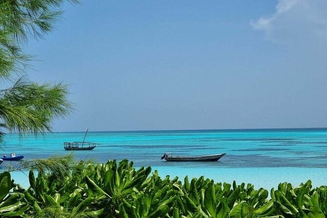 Mnemba Island Half Day Live Aquarium With Transfer - Zanzibar - Key Highlights You’ll Actually Feel on the Water
