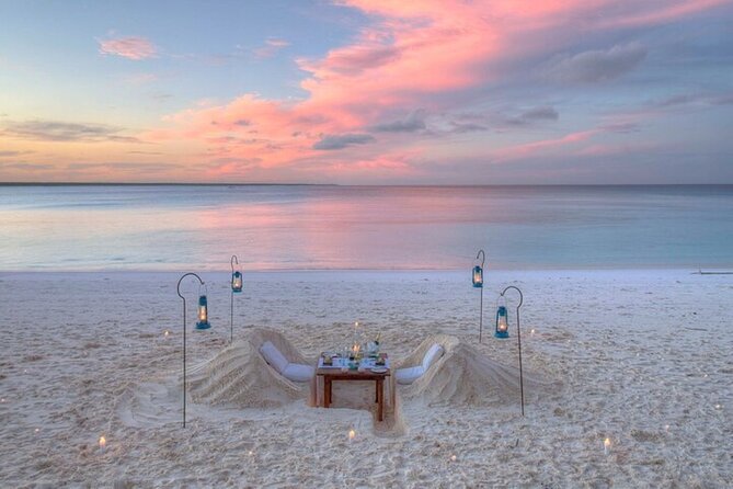 Mnemba Island Half Day Live Aquarium With Transfer - Zanzibar - Snorkel Gear, Snacks, and a Guide Who Actually Helps