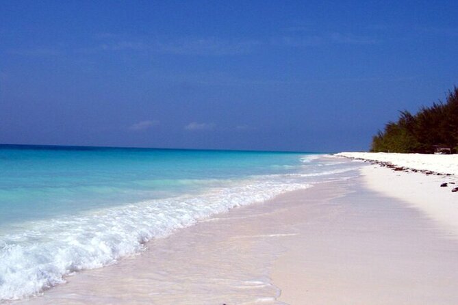 Mnemba Island Half Day Live Aquarium With Transfer - Zanzibar - Should You Book Mnemba Island Half Day Live Aquarium?