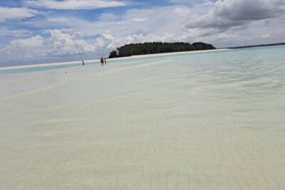 Mnemba Snorkeling, Dolphin and Baraka Natural Aquarium - Timing, Pickup, and the Quick Reality Check on Logistics