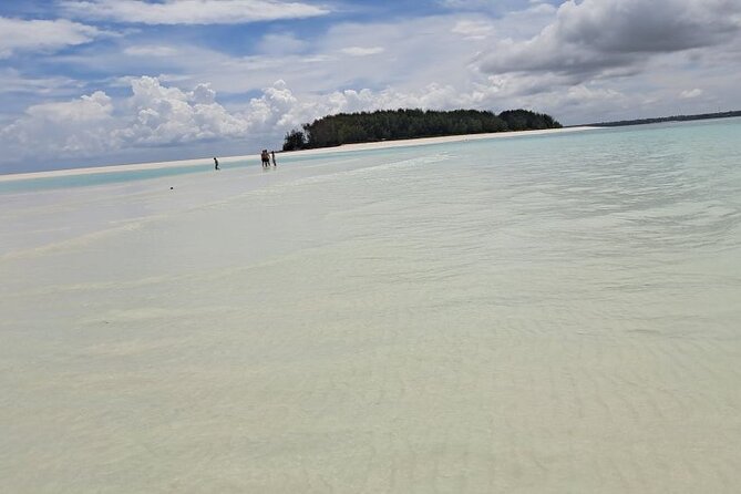 Mnemba Snorkeling, Dolphin and Baraka Natural Aquarium - Timing, Pickup, and the Quick Reality Check on Logistics