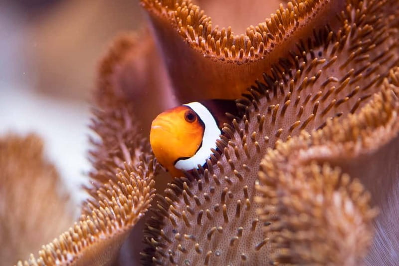 Munich: Day Ticket to Sea Life - Where Sea Life Munich is and how you’ll experience it