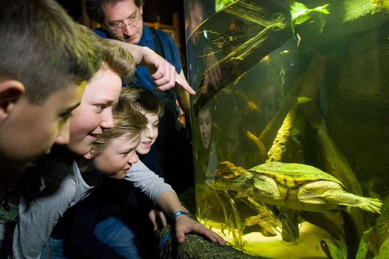 Munich: Day Ticket to Sea Life - From Isar River to the Atlantic: 12 areas with 2,500+ animals