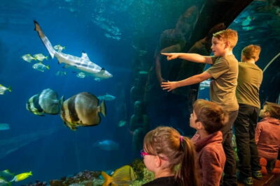 Munich: Day Ticket to Sea Life - The themed route: Danube Delta, coral cave, seahorse bay