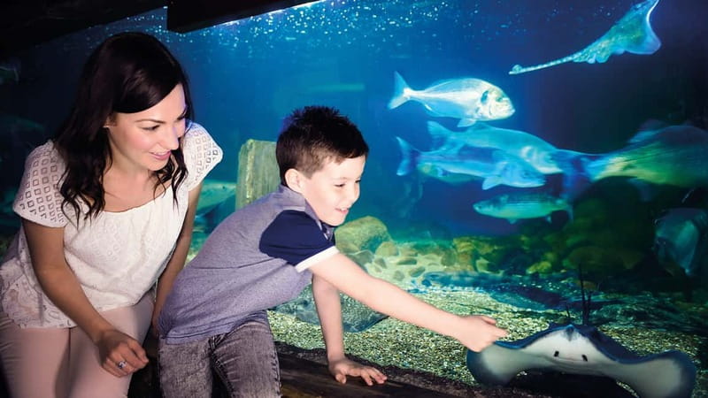Munich: Day Ticket to Sea Life - Tropical Island: insects and giant African snails that steal the show