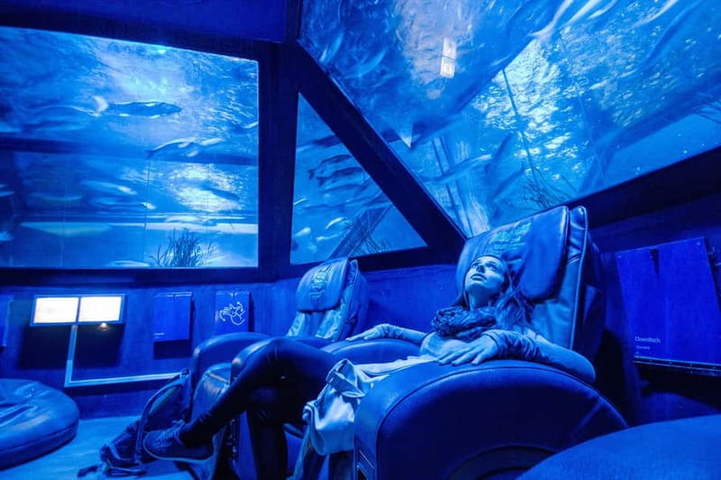 Munich: Day Ticket to Sea Life - Price and value: is $25 fair for a day ticket?