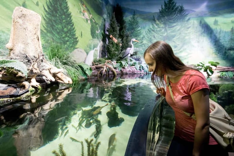 Munich: Day Ticket to Sea Life - Practical tips for your visit (so it feels easy, not rushed)