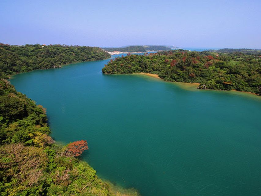Naha: North Okinawa Sightseeing Tour & Churaumi Aquarium - Why North Okinawa Looks So Good From Naha