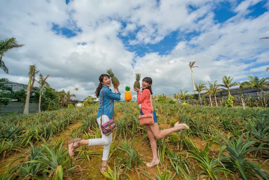 Naha: North Okinawa Sightseeing Tour & Churaumi Aquarium - Price and Value: What You’re Really Paying For