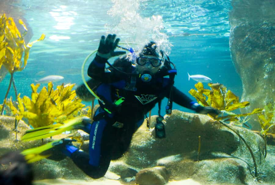 Napier: National Aquarium of New Zealand General Admission - National Aquarium of New Zealand in Napier: A Solid Full-Day Plan