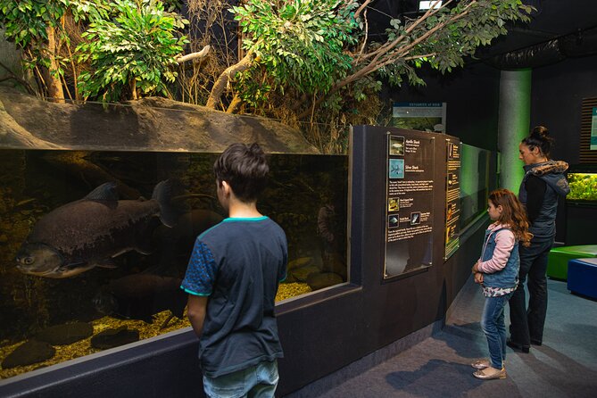 National Aquarium of New Zealand in Napier General Admission - Under the sea: the largest exhibit and stingray viewing