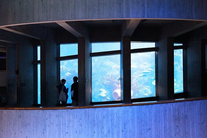 New England Aquarium Admission Ticket in Boston - Priority Admission at the New England Aquarium: Your Best Bet for Time and Tickets