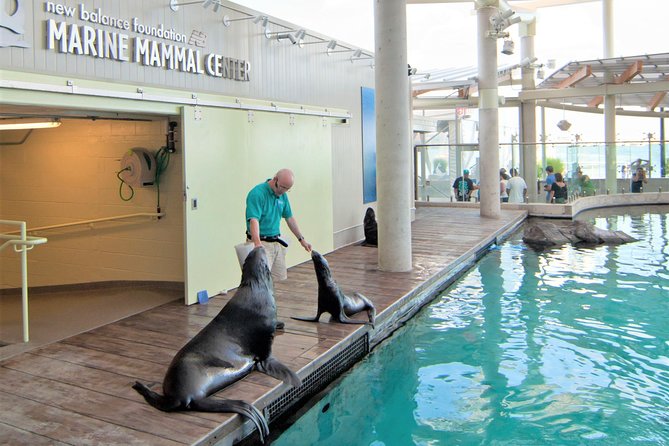 New England Aquarium Admission Ticket in Boston - The Big-Show Moment: Giant Ocean Tank (200,000 Gallons, Multiple Levels)