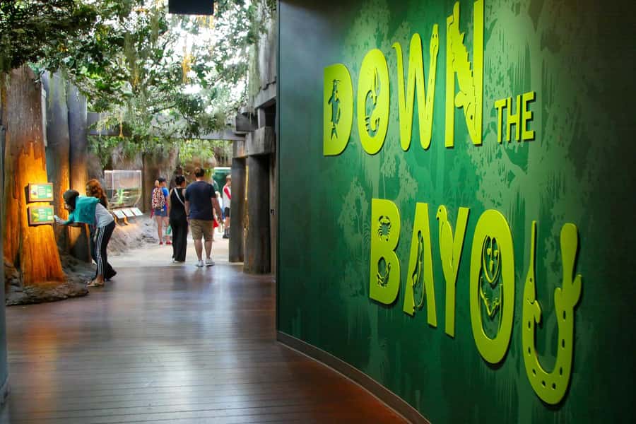 New Orleans: Audubon Aquarium & Insectarium Ticket - How the Insectarium and Butterfly Garden fit in