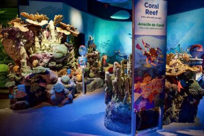 New York Aquarium Admission - What you’ll see: sea lions, penguins, sharks, and close-up surprises