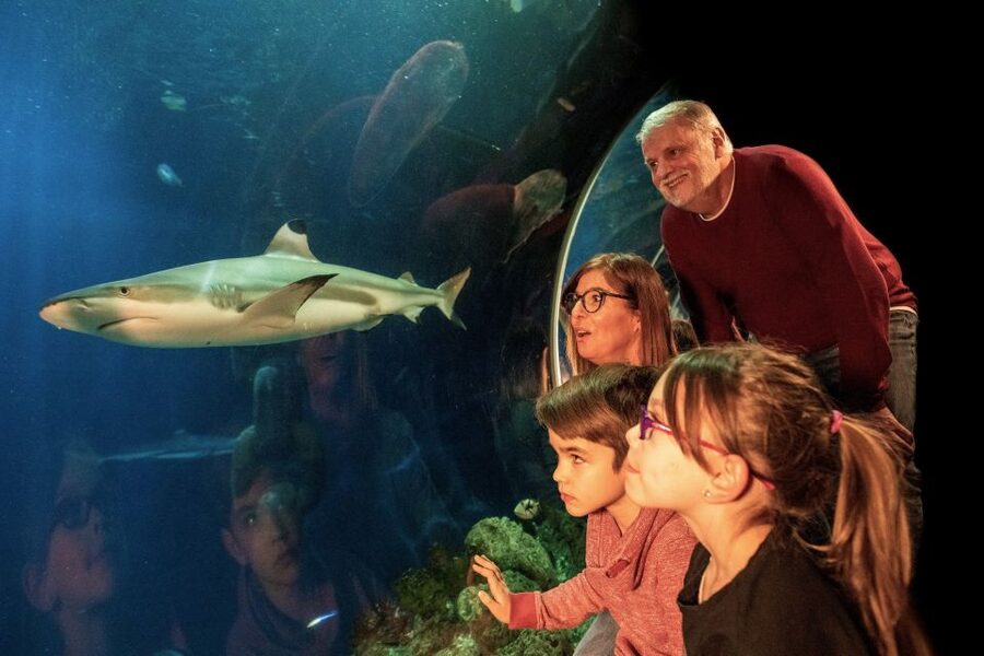 Oberhausen: LEGOLAND Discovery Centre and SEA LIFE Ticket - Who This Combo Fits Best (and Who May Get Turned Away)