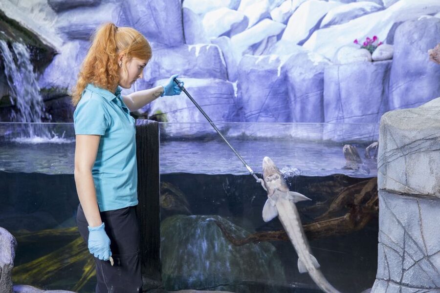 Oberhausen: LEGOLAND Discovery Centre and SEA LIFE Ticket - How to Plan Your Day Between LEGOLAND and SEA LIFE