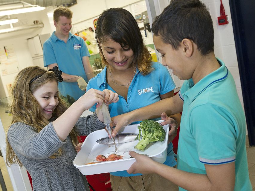Oberhausen: SEA LIFE Ticket and Behind the Scenes Tour - Key Things to Know Before You Go