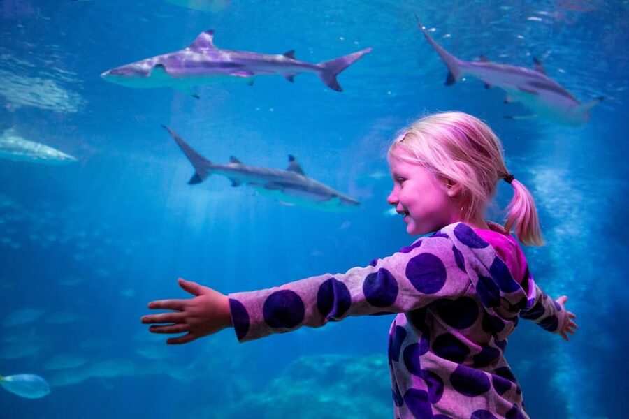 Oberhausen: SEA LIFE Ticket and Behind the Scenes Tour - The 30-Minute Behind-the-Scenes Tour: Feed Kitchen, Lab, and Microscope Time