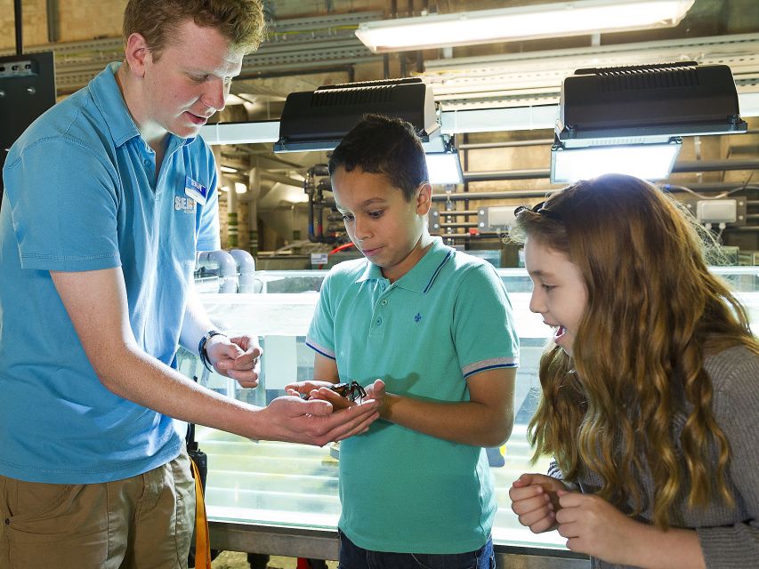 Oberhausen: SEA LIFE Ticket and Behind the Scenes Tour - Accessibility and Rules That Affect Your Planning