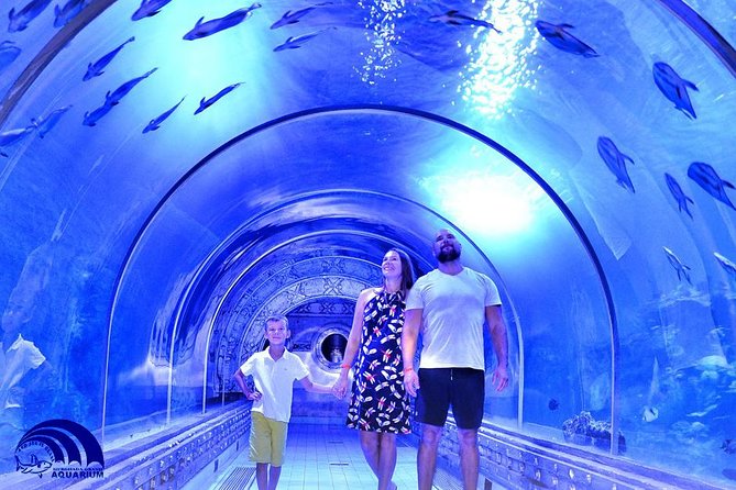 Official Account: Hurghada Grand Aquarium Entrance Tickets - Tickets That Save Time (But Don’t Always Mean Instant Entry)