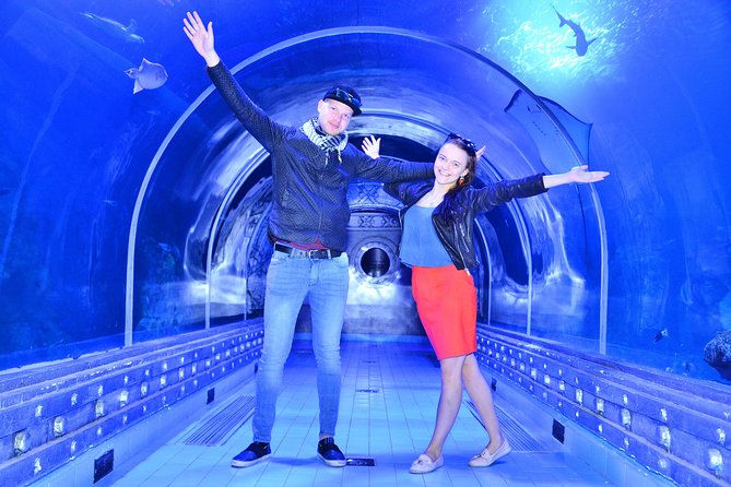 Official Account: Hurghada Grand Aquarium Entrance Tickets - Touch Tank and the Small Zoo: Where Kids Get the Hands-On Win