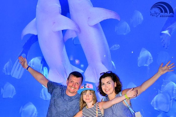 Official Account: Hurghada Grand Aquarium Entrance Tickets - How long will it take, really?