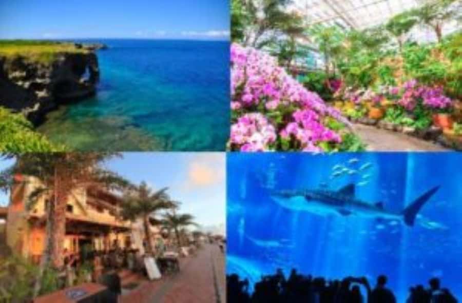 Okinawa: Bus Tour to Churaumi Aquarium with Sightseeing - Key points to know before you go