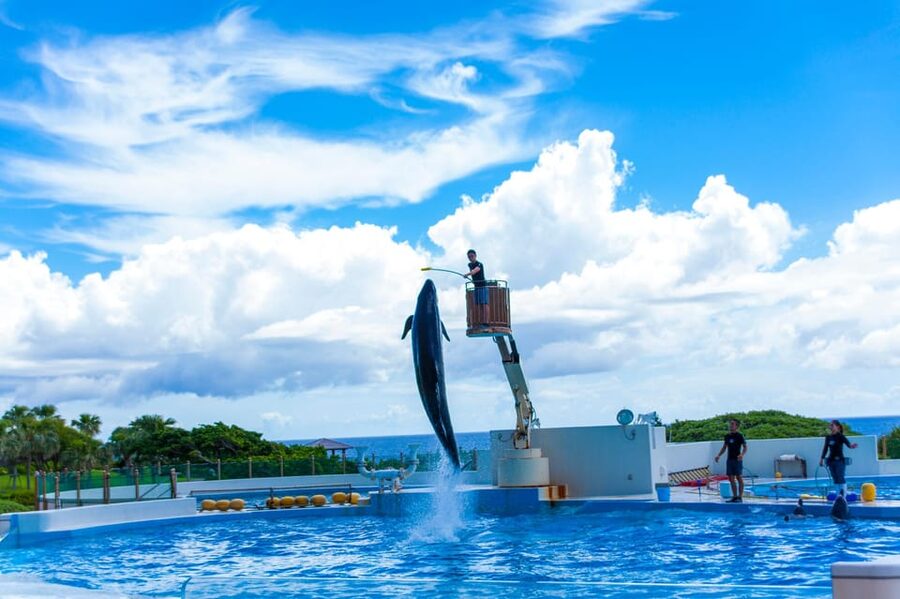 Okinawa Churaumi or Tropical, Kouri American Village BusTour - Kouri Island and Kouri Bridge: your emerald-sea photo hit