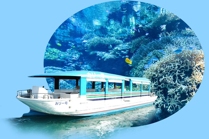 Okinawa HIP-HOP BUS B - 1 Course Tour (Okinawa Churaumi Aquarium) - Getting there without thinking: the one-day value of this route