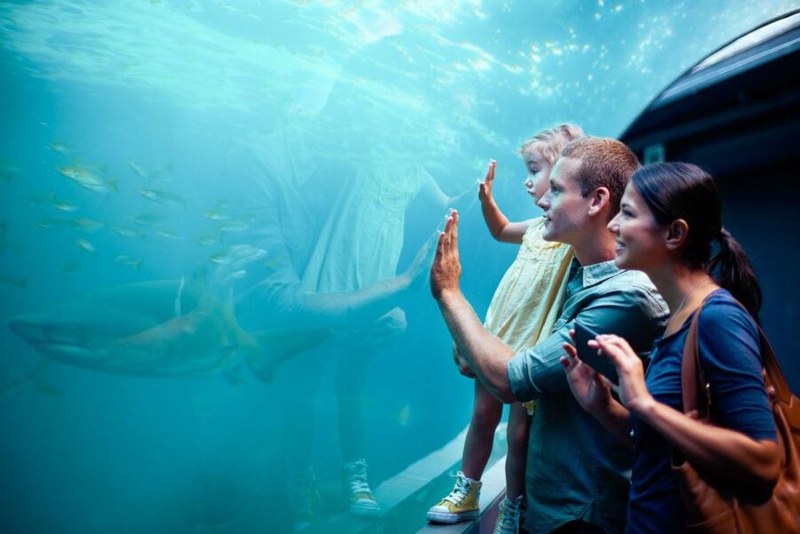 Orlando: SEA LIFE Orlando Aquarium - How long to plan for at SEA LIFE Orlando