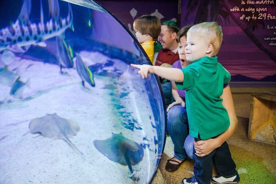 Orlando: SEA LIFE Orlando Aquarium - Animal care in motion: what you learn as you walk