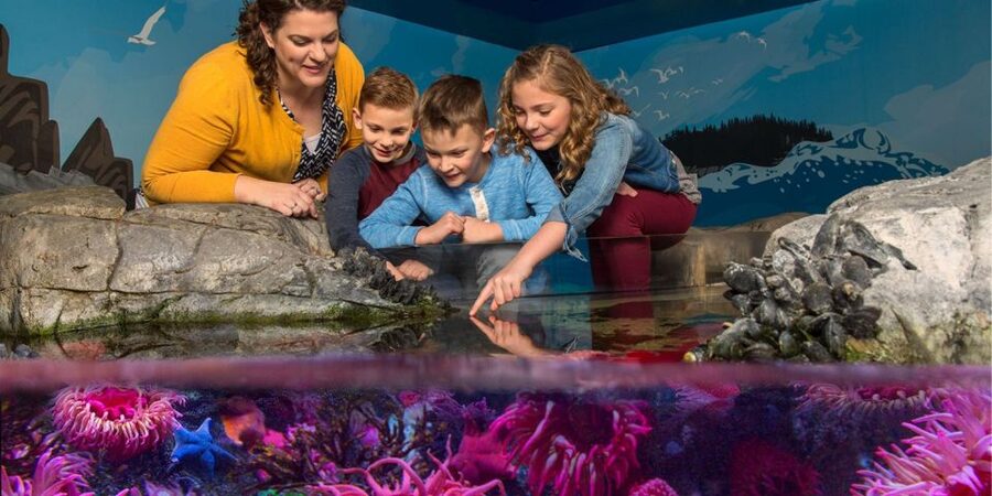 Orlando: SEA LIFE Orlando Aquarium - Price and logistics: what $30 gets you (and what to watch for)
