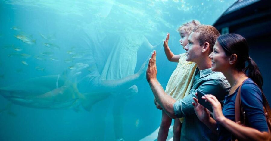 Orlando: SEA LIFE Orlando Aquarium - Getting there inside the attraction: your smooth start