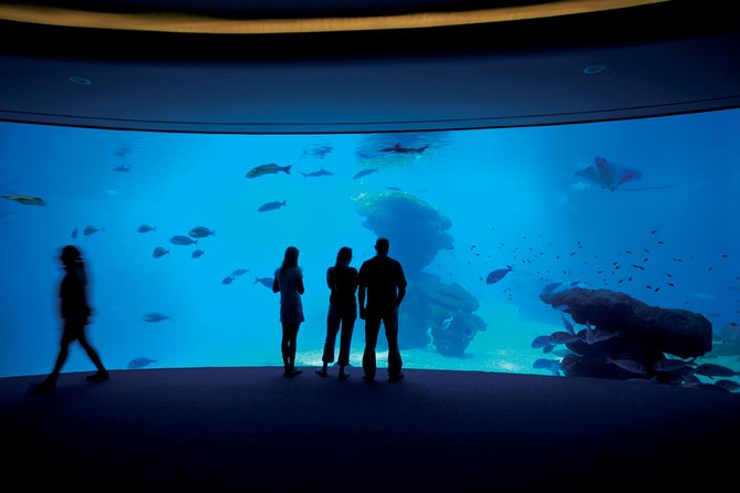 Palma Aquarium with return bus from Port Alcudia - Playa de Palma / El Arenal add-on: worth it if you’re not museum’d out