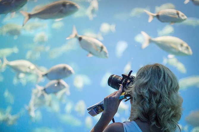 Palma Aquarium with return bus from Port Alcudia - Price and value: does $61.51 make sense?