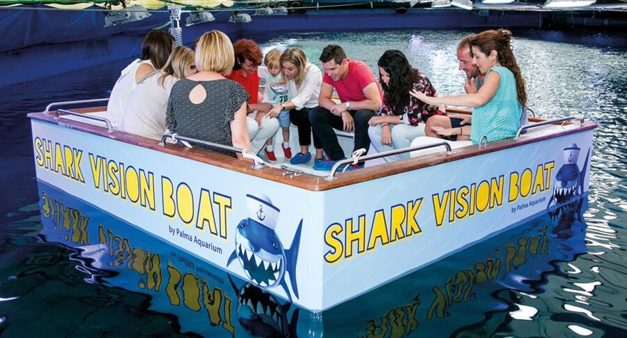 Palma: Palma Aquarium Ticket with Transfer Service - Who this Palma Aquarium transfer is best for